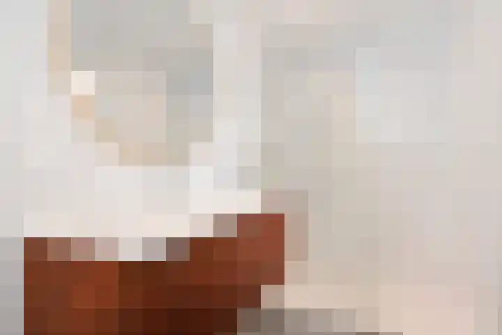 Willem de Zwijgerlaan 22 B Den Haag thumbnail 20
