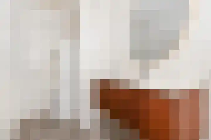 Willem de Zwijgerlaan 22 B Den Haag thumbnail 21
