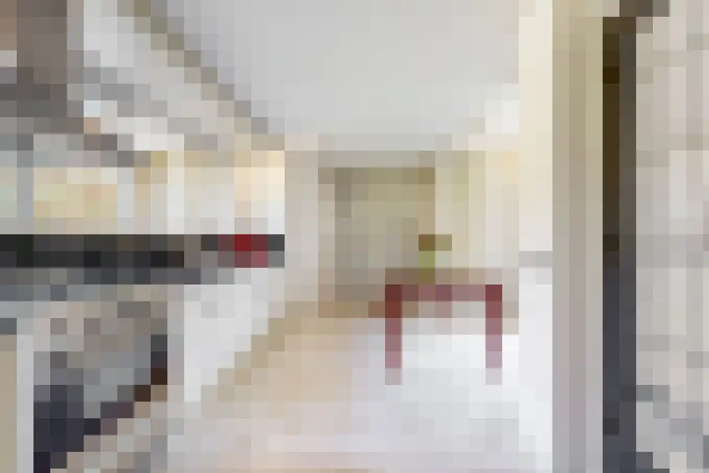 Willem de Zwijgerlaan 22 Hoorn thumbnail 11