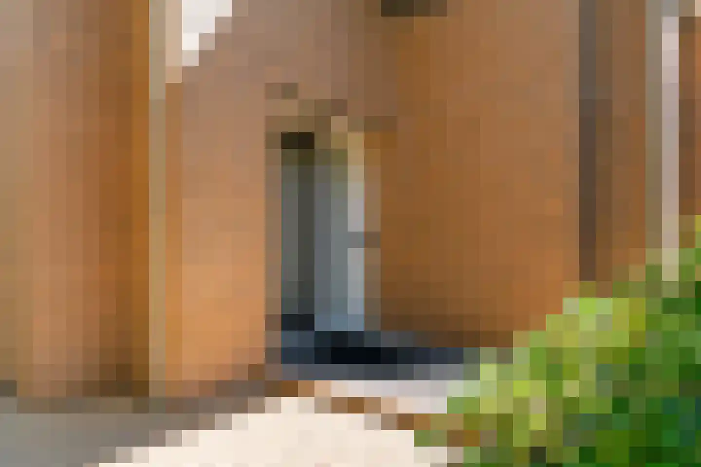 Willem de Zwijgerlaan 22 Hoorn thumbnail 38