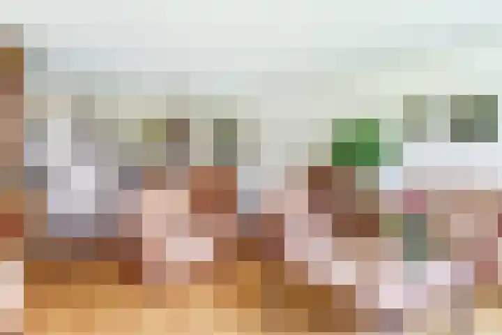 Willem de Zwijgerlaan 221 Alkmaar thumbnail 10