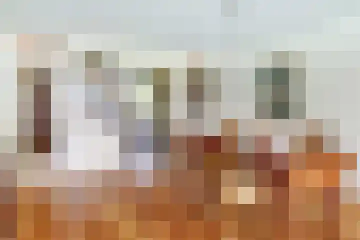 Willem de Zwijgerlaan 221 Alkmaar thumbnail 11