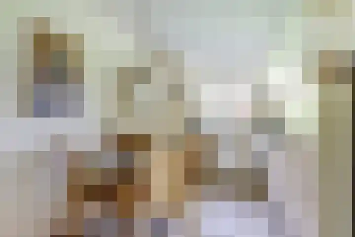 Willem de Zwijgerlaan 221 Alkmaar thumbnail 12