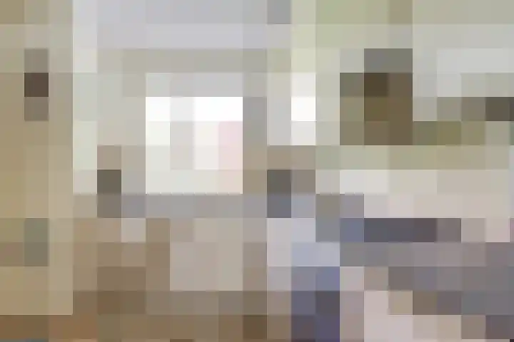 Willem de Zwijgerlaan 221 Alkmaar thumbnail 13