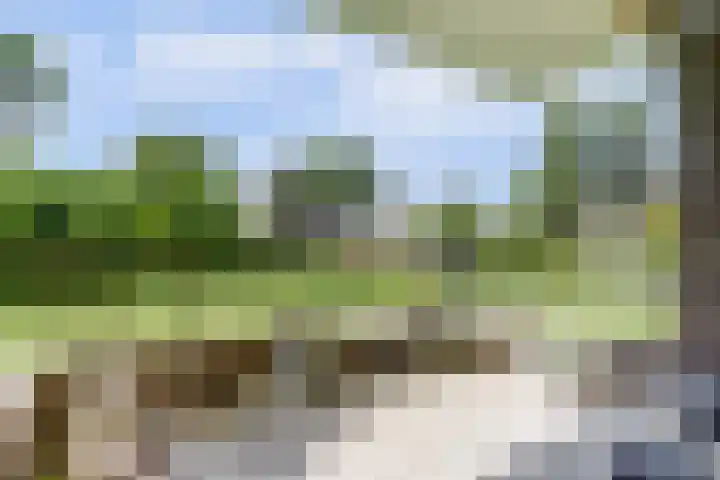 Willem de Zwijgerlaan 221 Alkmaar thumbnail 16