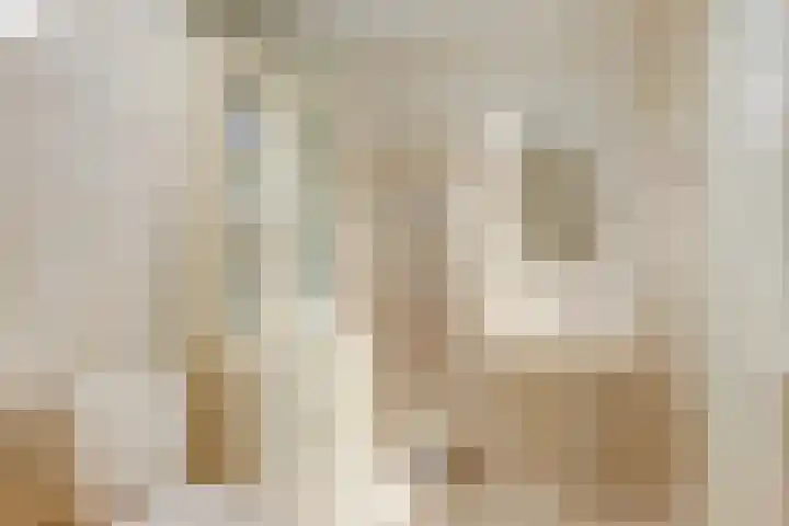 Willem de Zwijgerlaan 221 Alkmaar thumbnail 21