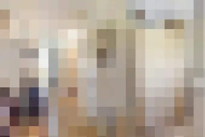 Willem de Zwijgerlaan 221 Alkmaar thumbnail 22