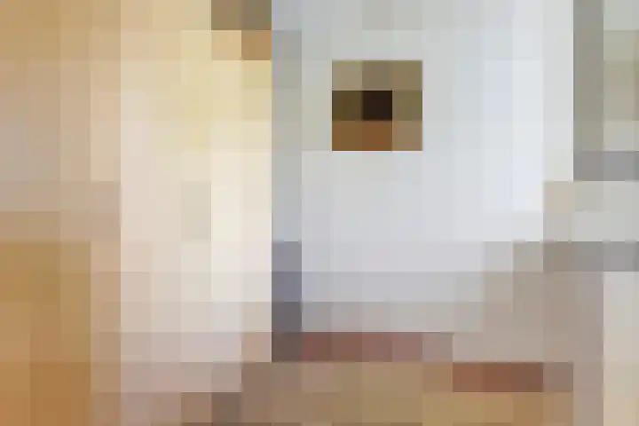 Willem de Zwijgerlaan 221 Alkmaar thumbnail 23