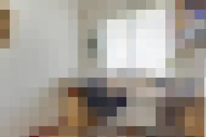 Willem de Zwijgerlaan 221 Alkmaar thumbnail 24