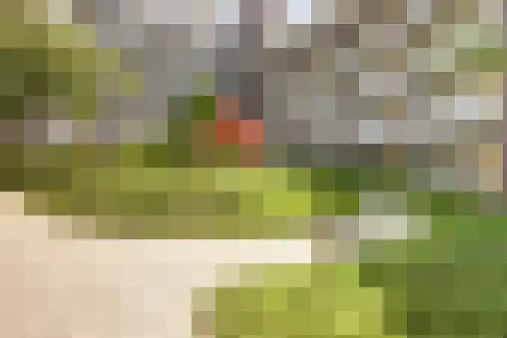 Willem de Zwijgerlaan 221 Alkmaar thumbnail 29