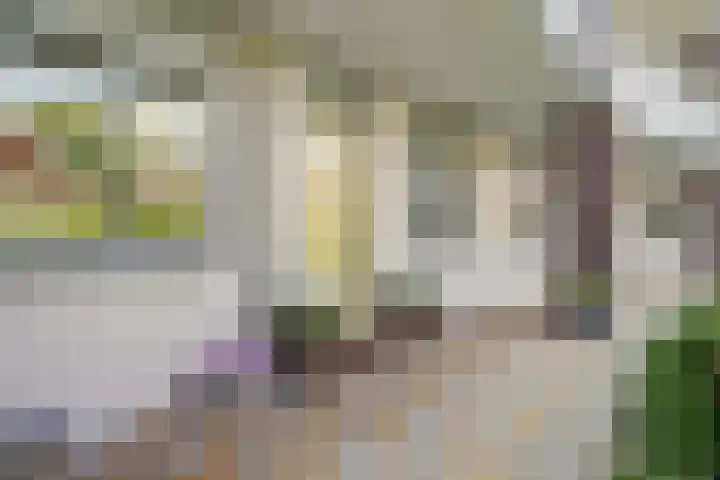Willem de Zwijgerlaan 221 Alkmaar thumbnail 5