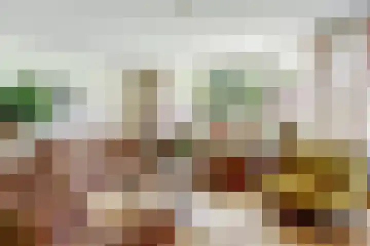 Willem de Zwijgerlaan 221 Alkmaar thumbnail 9