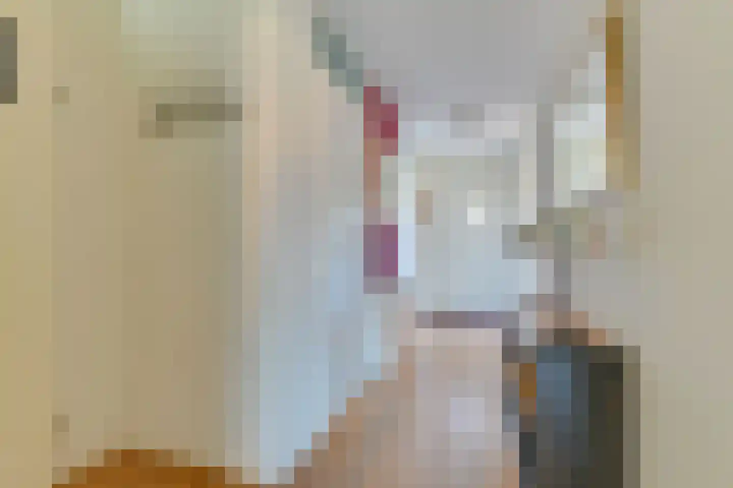 Willem de Zwijgerlaan 227 Alkmaar thumbnail 12