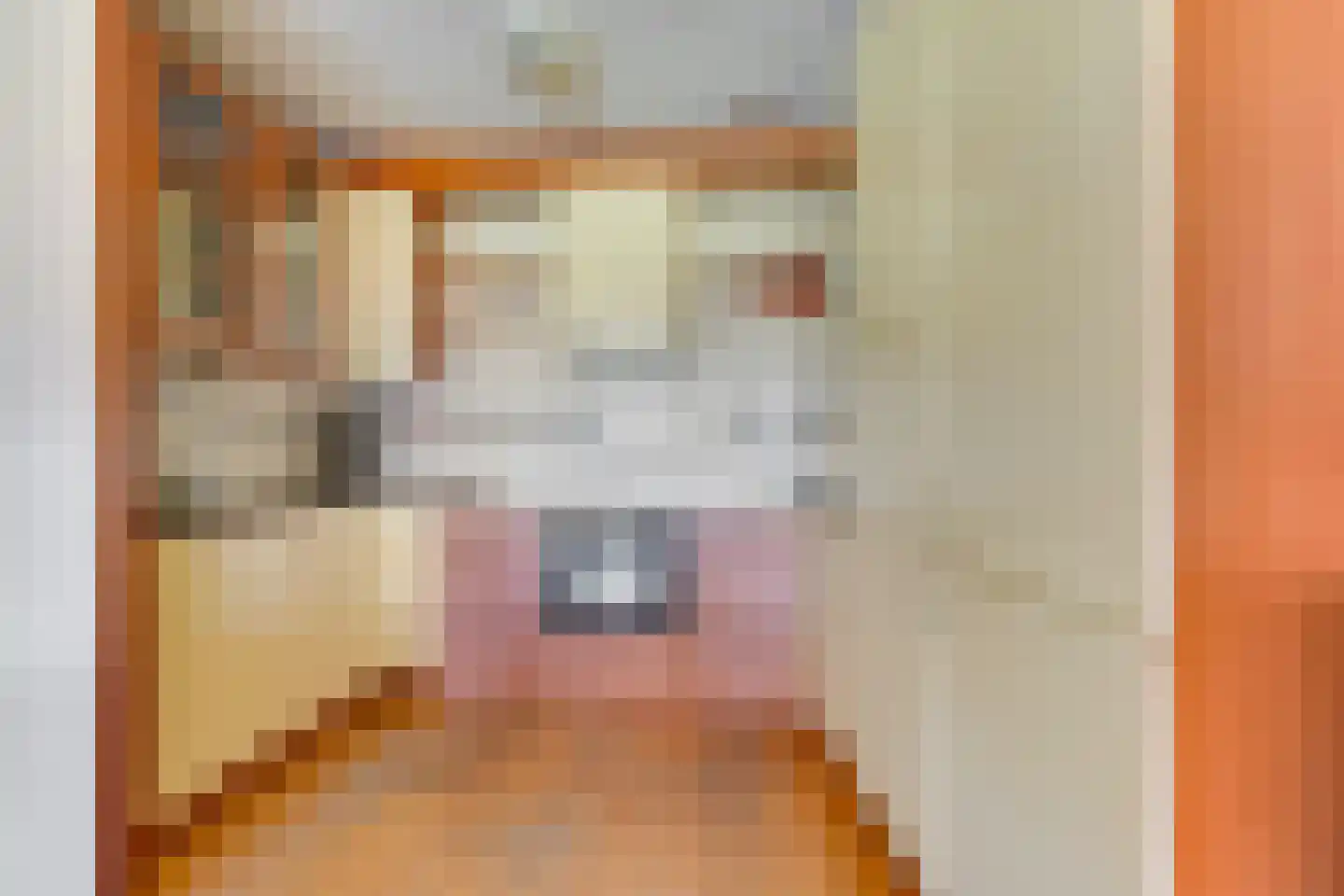 Willem de Zwijgerlaan 227 Alkmaar thumbnail 19
