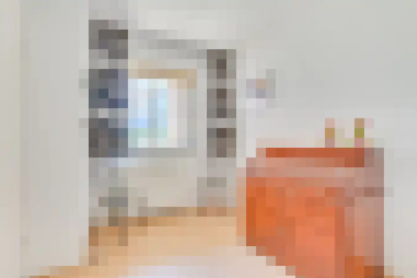 Willem de Zwijgerlaan 227 Alkmaar thumbnail 35