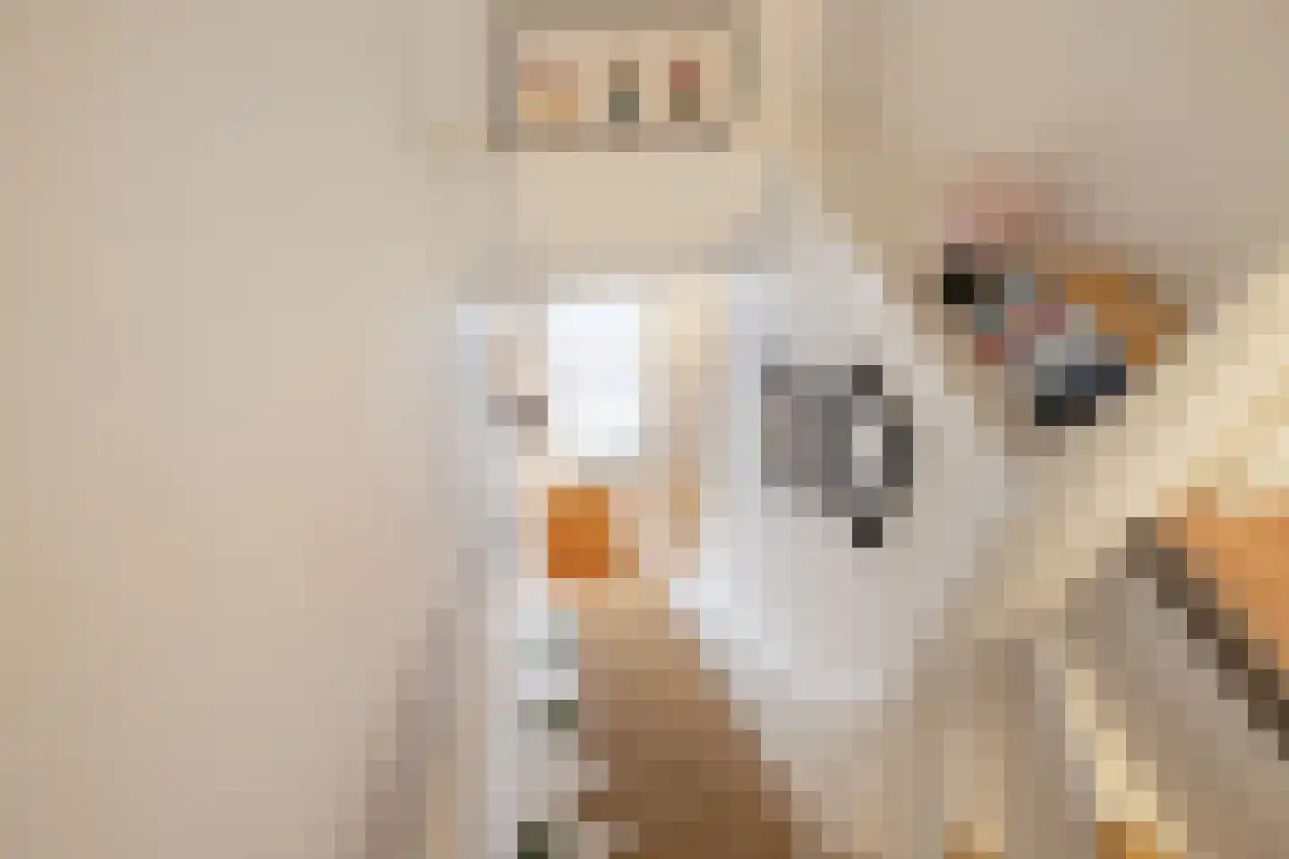 Willem de Zwijgerlaan 227 E Amsterdam thumbnail 6