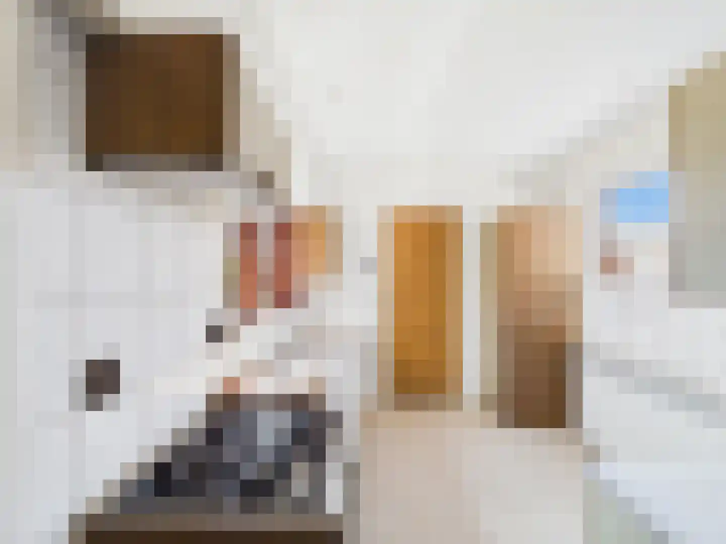 Willem de Zwijgerlaan 23 a Terneuzen thumbnail 14