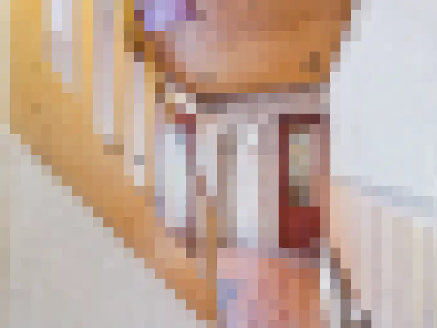 Willem de Zwijgerlaan 23 a Terneuzen thumbnail 17