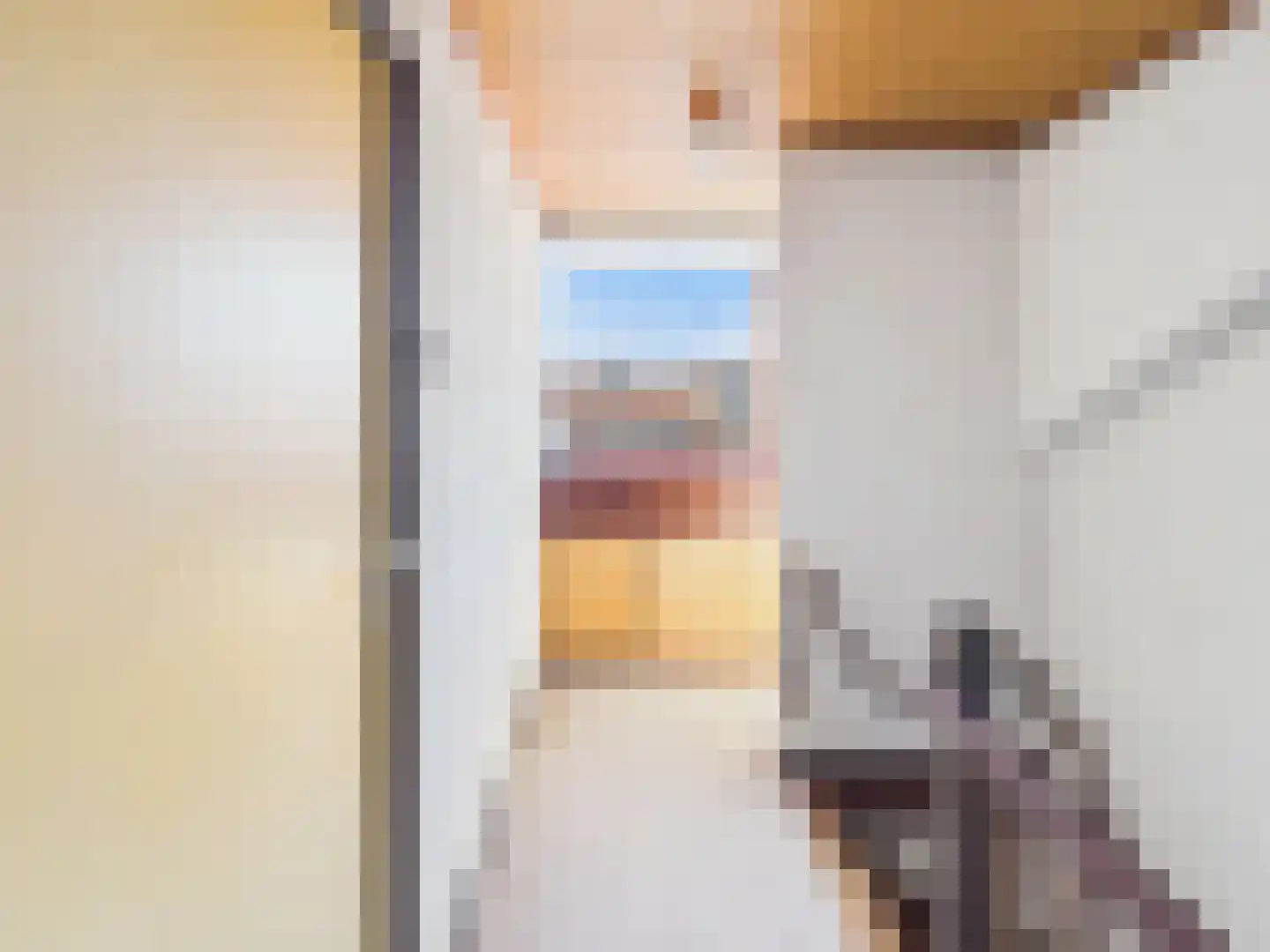 Willem de Zwijgerlaan 23 a Terneuzen thumbnail 33