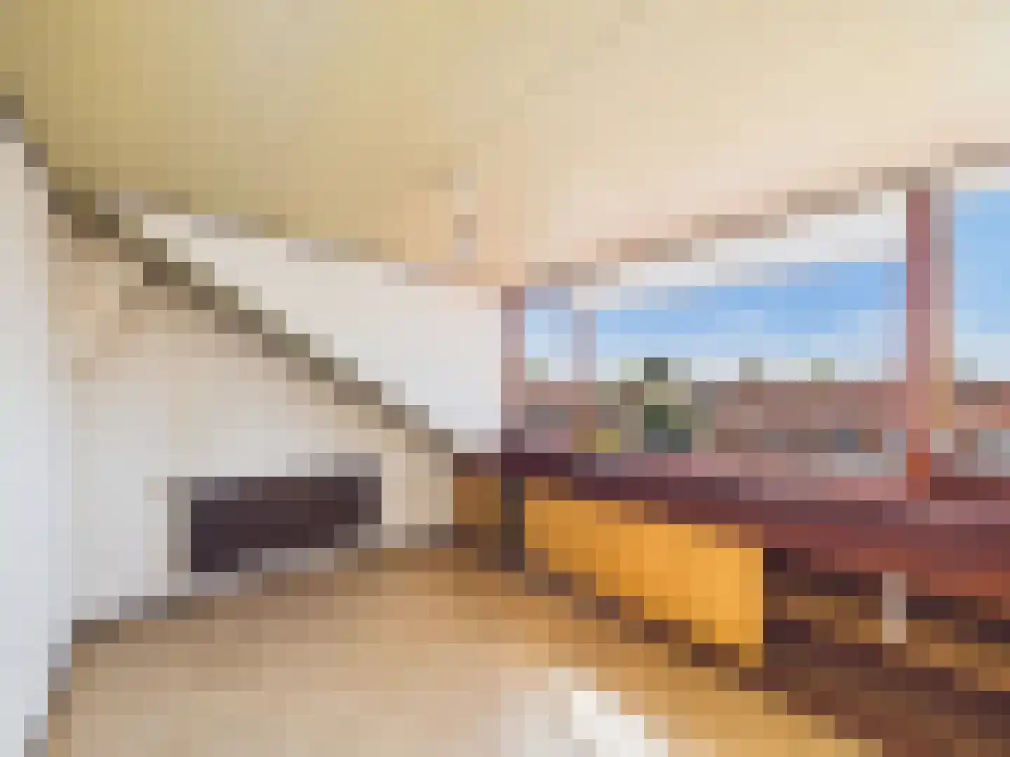 Willem de Zwijgerlaan 23 a Terneuzen thumbnail 34