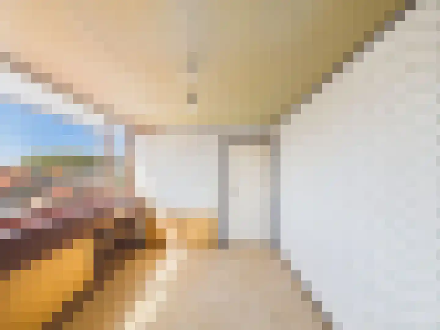 Willem de Zwijgerlaan 23 a Terneuzen thumbnail 36