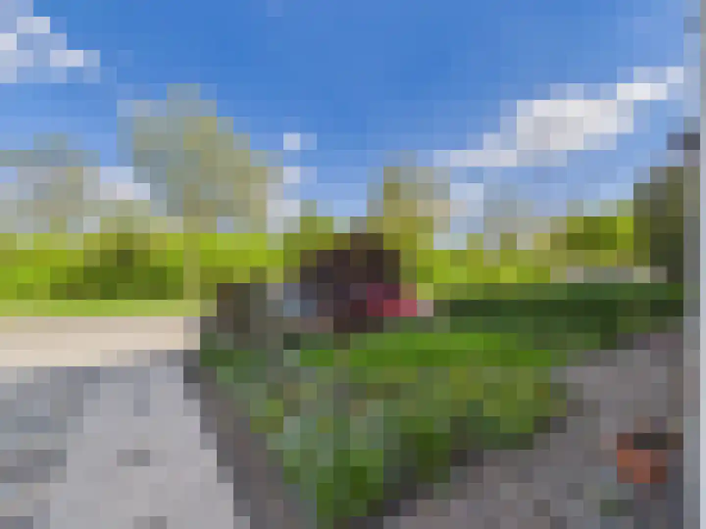 Willem de Zwijgerlaan 23 a Terneuzen thumbnail 46