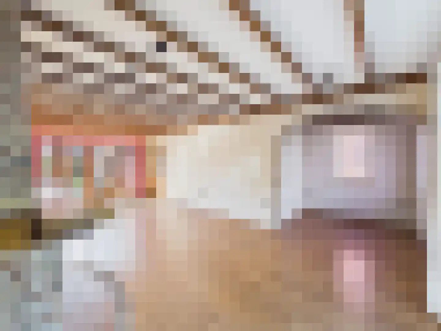 Willem de Zwijgerlaan 23 a Terneuzen thumbnail 8