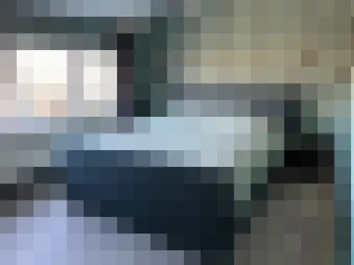 Willem de Zwijgerlaan 23 Hulst thumbnail 11