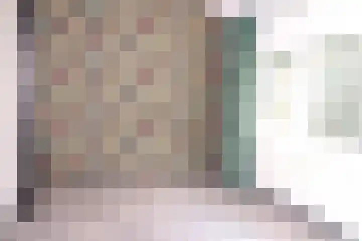 Willem de Zwijgerlaan 23 Hulst thumbnail 13