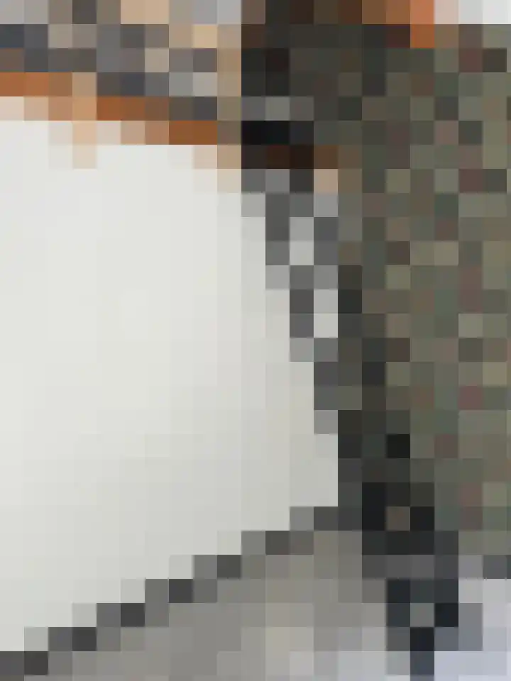 Willem de Zwijgerlaan 23 Hulst thumbnail 14