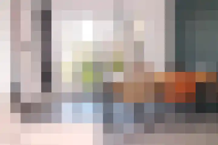 Willem de Zwijgerlaan 23 Hulst thumbnail 4