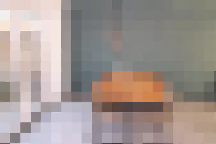 Willem de Zwijgerlaan 23 Hulst thumbnail 5