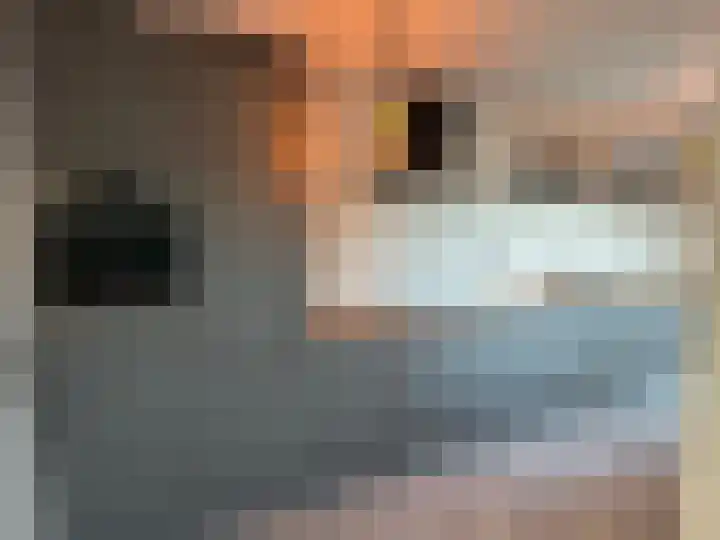 Willem de Zwijgerlaan 23 Hulst thumbnail 6