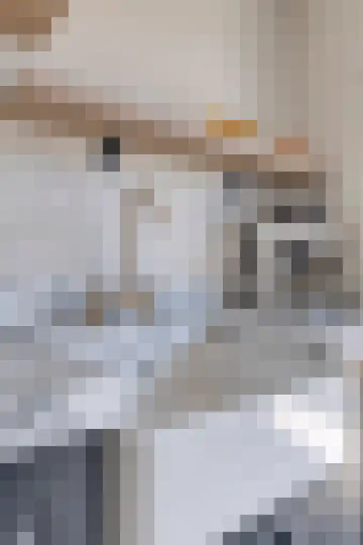 Willem de Zwijgerlaan 231 C Amsterdam thumbnail 13