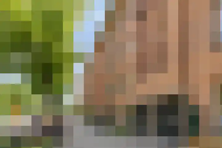Willem de Zwijgerlaan 231 C Amsterdam thumbnail 24