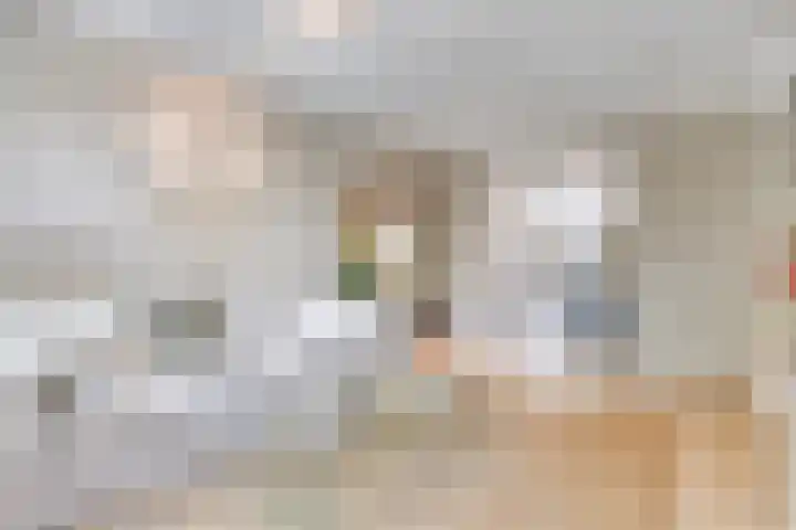 Willem de Zwijgerlaan 231 C Amsterdam thumbnail 9