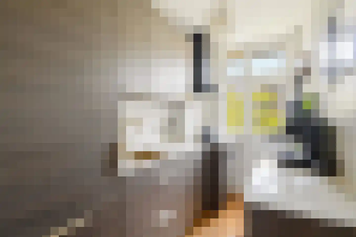 Willem de Zwijgerlaan 24 1 Amsterdam thumbnail 17