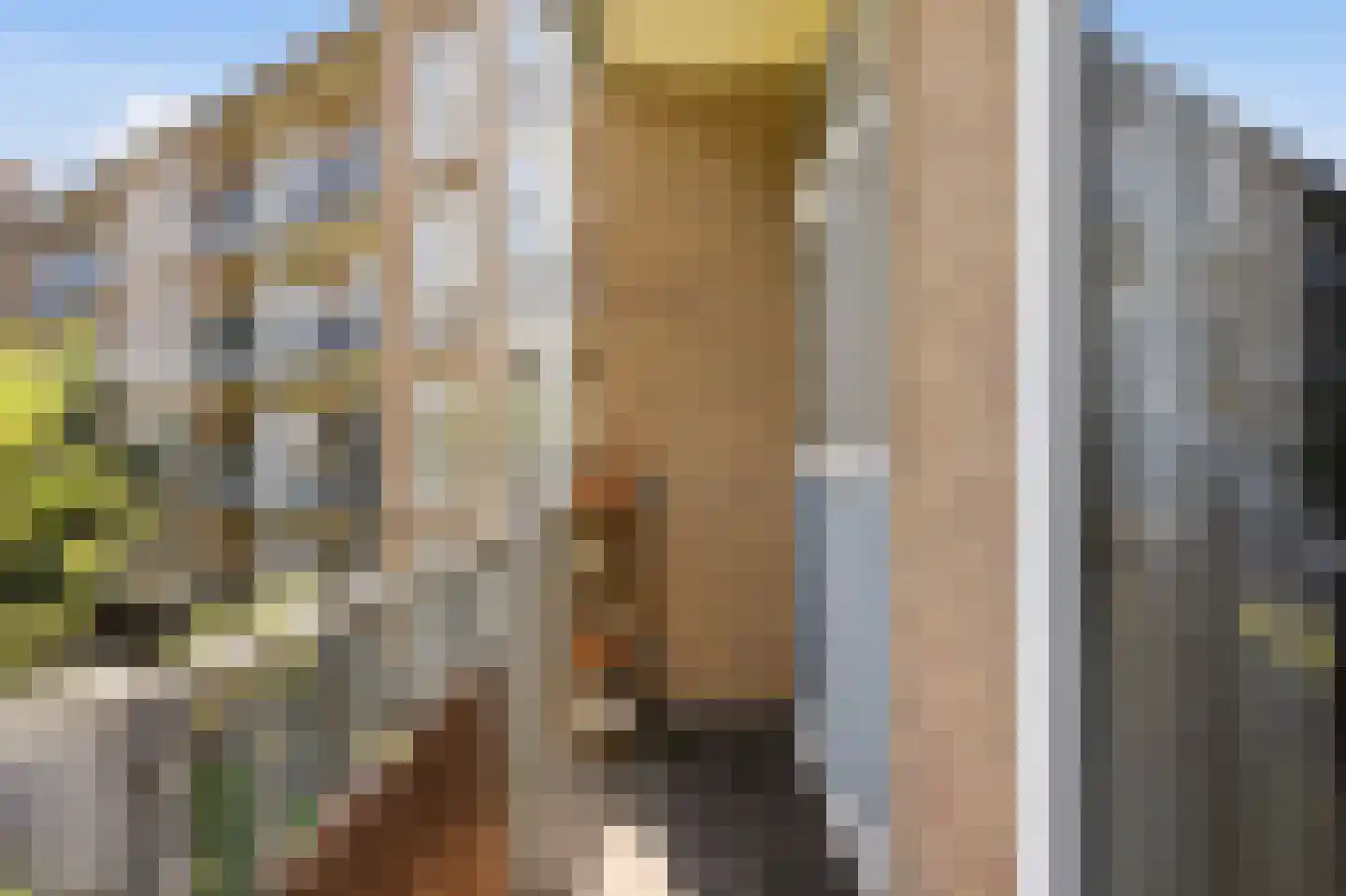 Willem de Zwijgerlaan 24 1 Amsterdam thumbnail 20