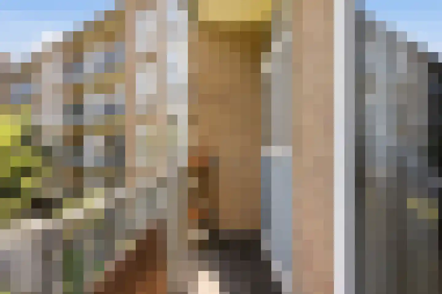 Willem de Zwijgerlaan 24 1 Amsterdam thumbnail 20