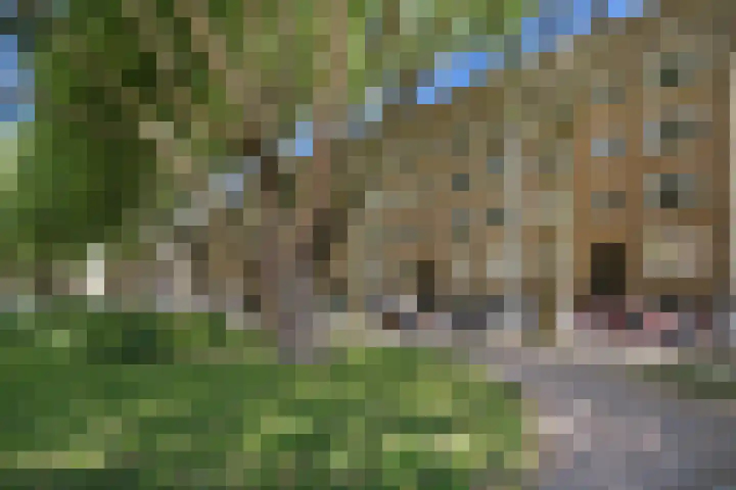 Willem de Zwijgerlaan 24 1 Amsterdam thumbnail 4