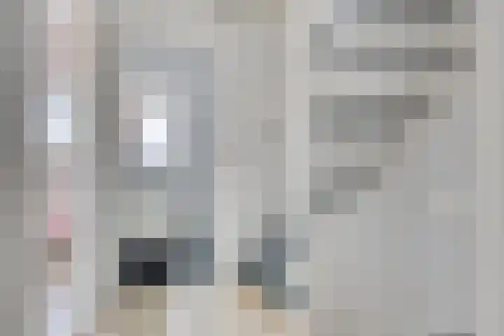 Willem de Zwijgerlaan 24 D Leiderdorp thumbnail 18