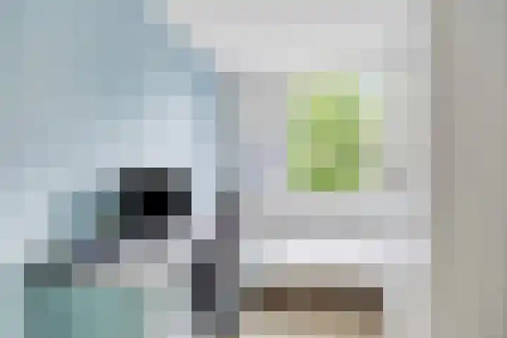 Willem de Zwijgerlaan 24 D Leiderdorp thumbnail 24