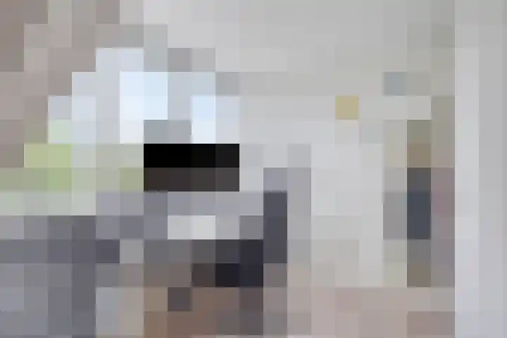 Willem de Zwijgerlaan 24 D Leiderdorp thumbnail 25