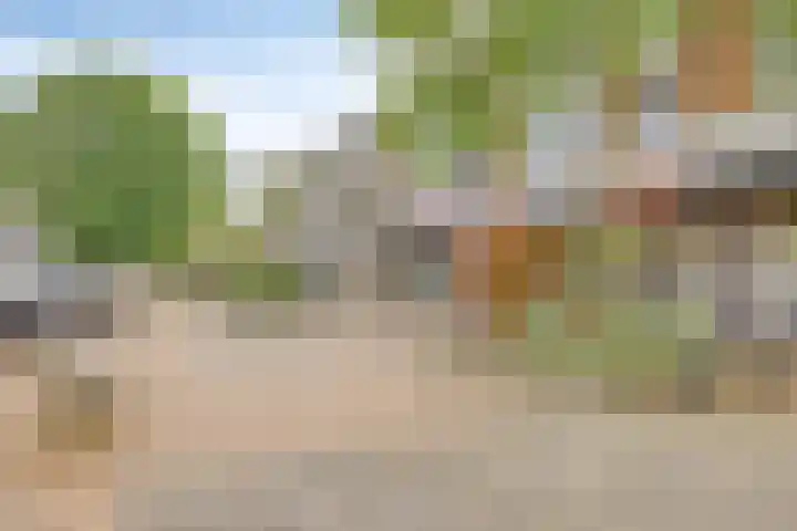 Willem de Zwijgerlaan 24 D Leiderdorp thumbnail 29
