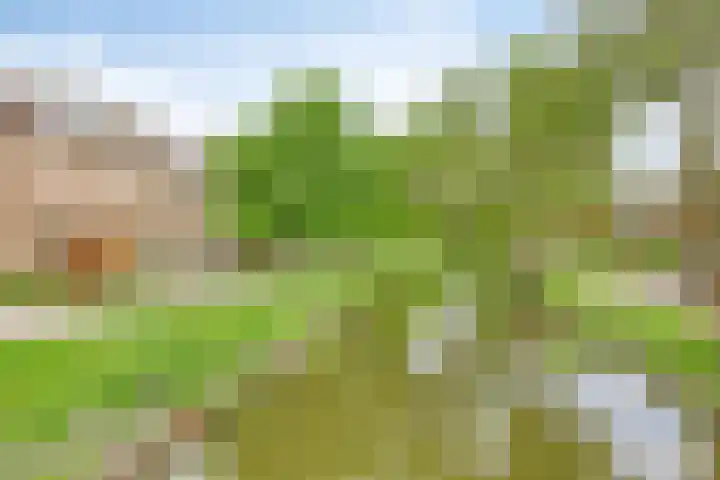 Willem de Zwijgerlaan 24 D Leiderdorp thumbnail 30