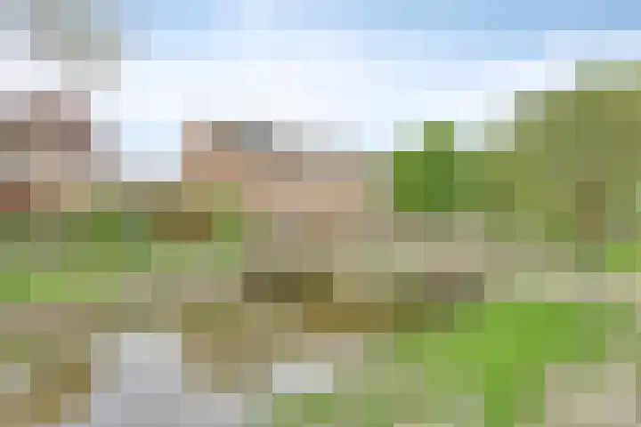 Willem de Zwijgerlaan 24 D Leiderdorp thumbnail 31