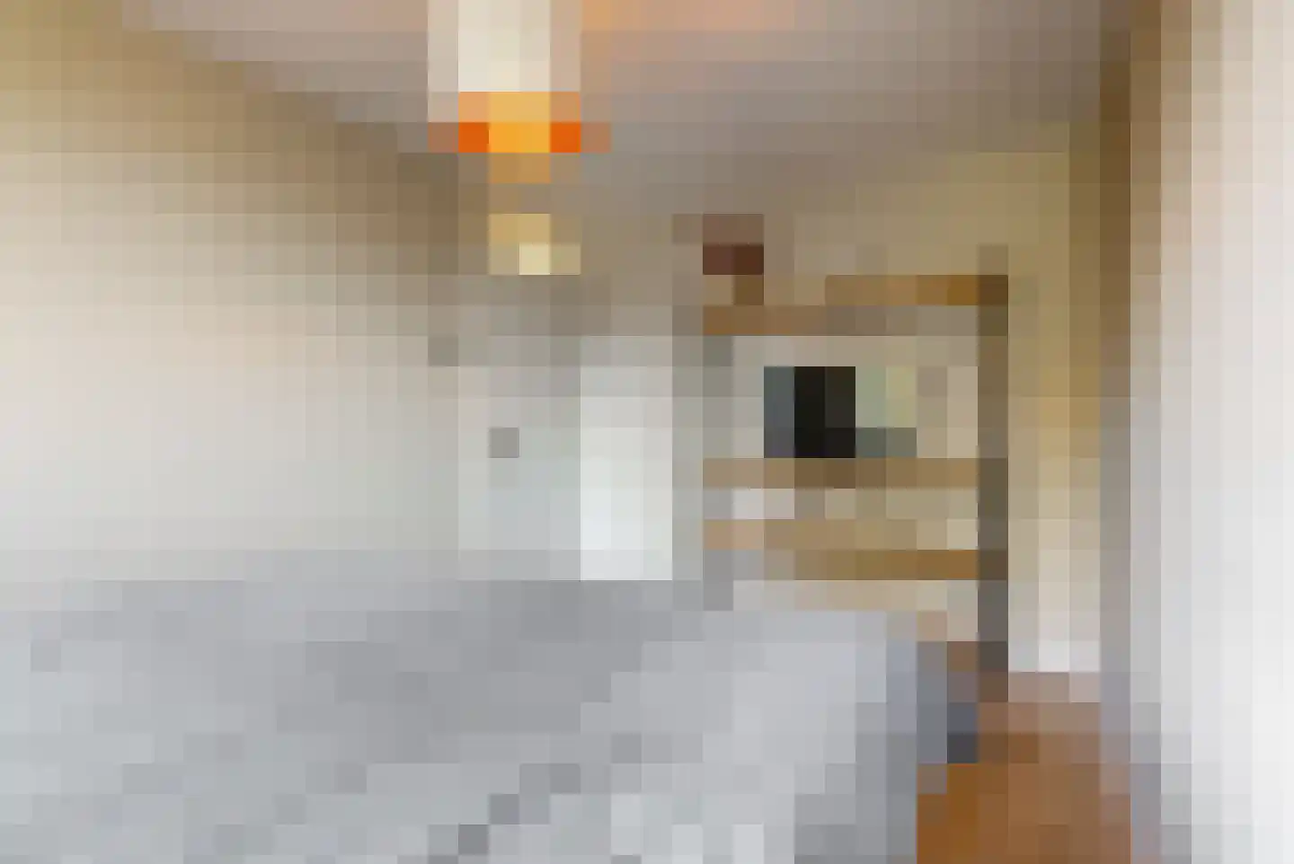 Willem de Zwijgerlaan 24 E Leiderdorp thumbnail 15