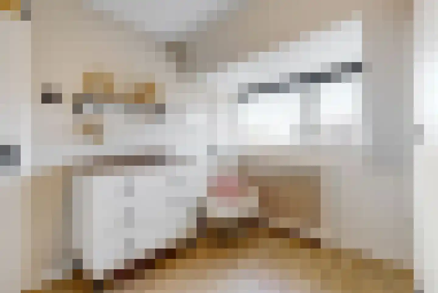 Willem de Zwijgerlaan 24 E Leiderdorp thumbnail 16