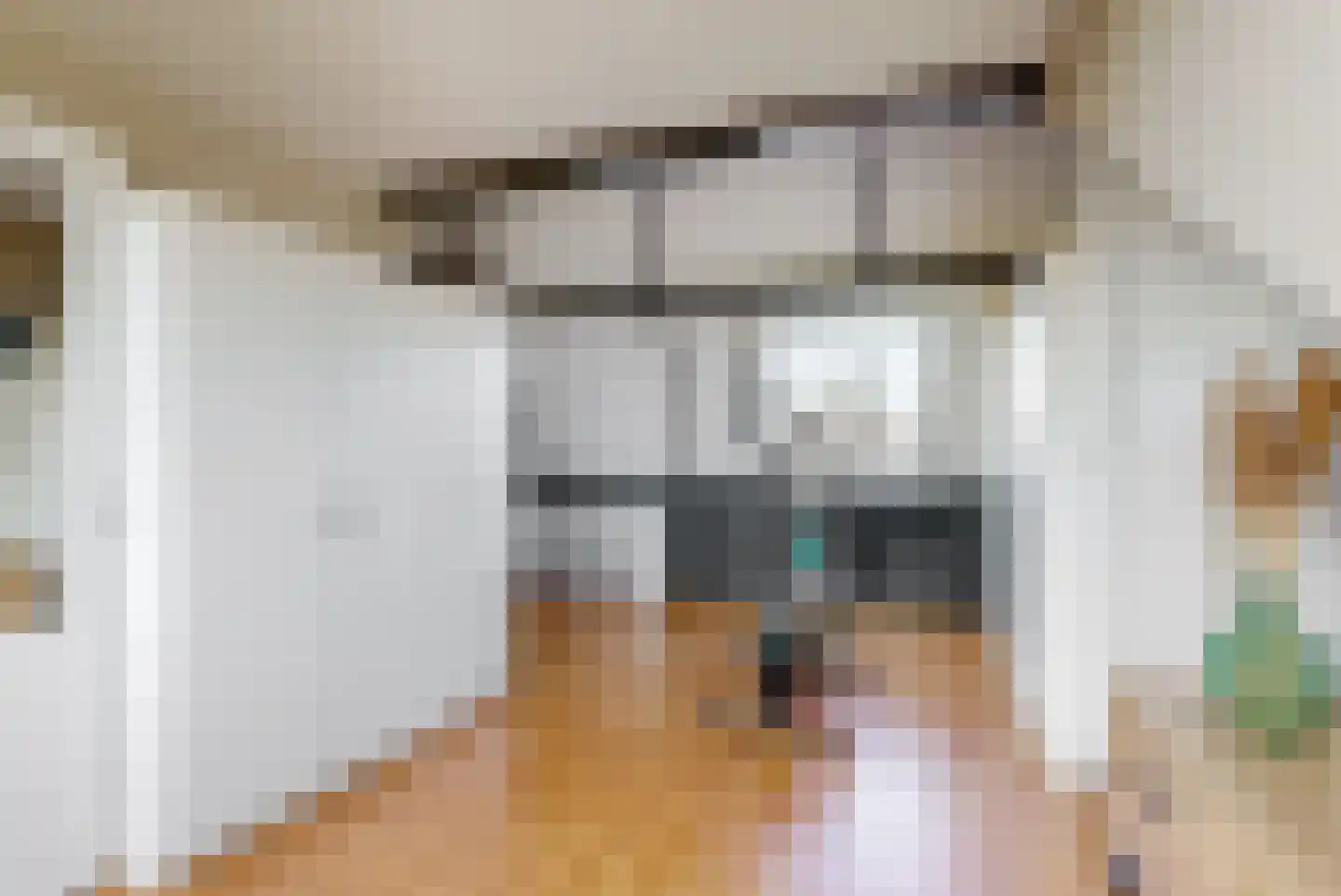 Willem de Zwijgerlaan 24 E Leiderdorp thumbnail 27