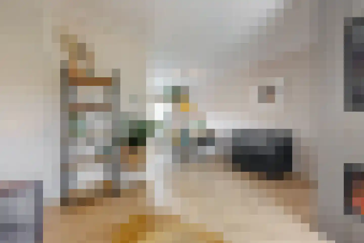 Willem de Zwijgerlaan 24 E Leiderdorp thumbnail 5